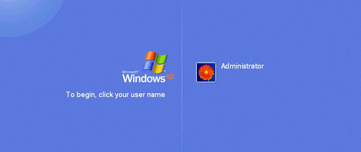 Популярность Windows XP и Windows 8 растет одинаковыми темпами